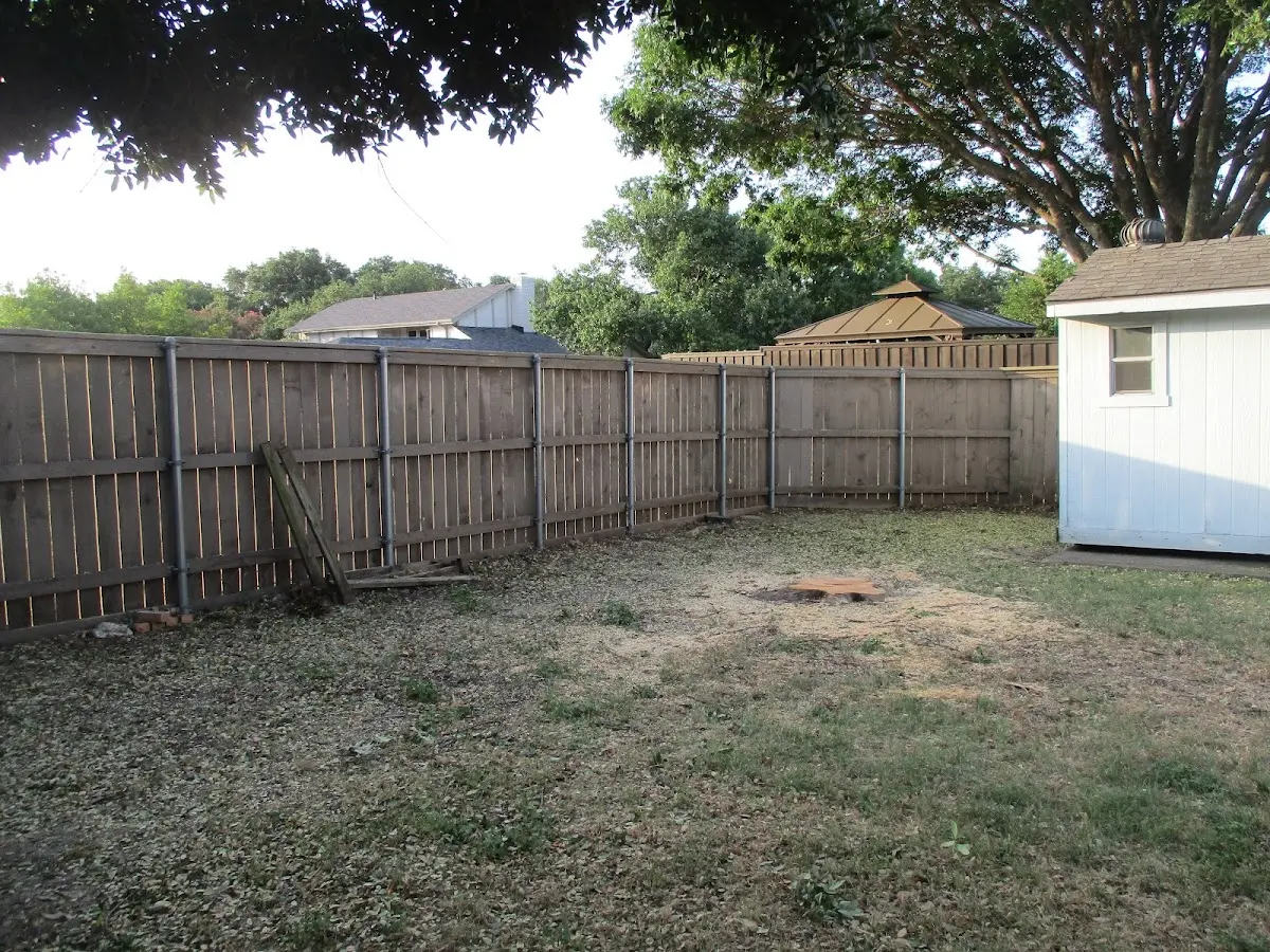 Cleared yard after professional tree removal in Goodland